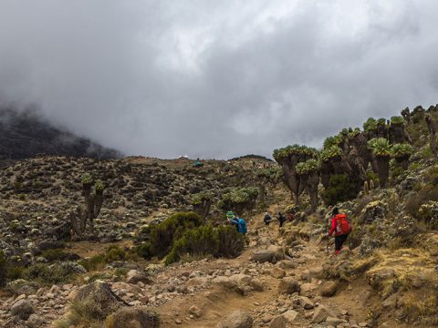 kili10f